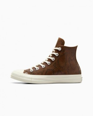 Converse Chuck Taylor All Star Snakeskin Print Women Sneakers Brown USA | C-15260399