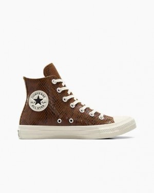 Converse Chuck Taylor All Star Snakeskin Print Women Sneakers Brown USA | C-56832109